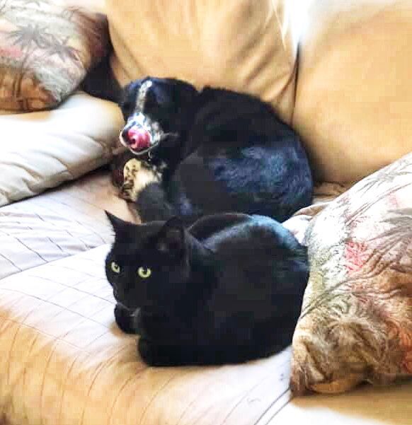 Lexy and Luna